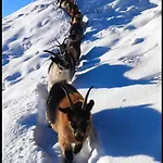 Haus Waldesruh Appartement Neustift im Stubaital