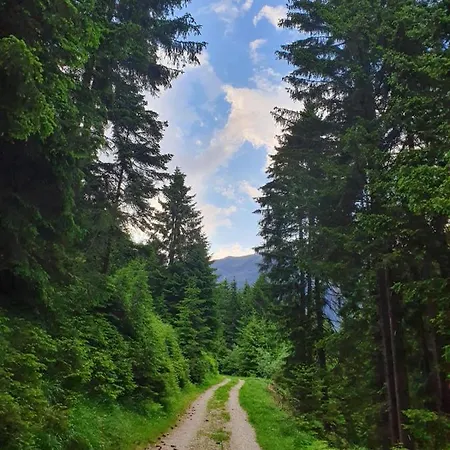 Haus Waldesruh 아파트