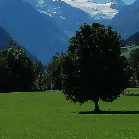 Haus Waldesruh 아파트 *