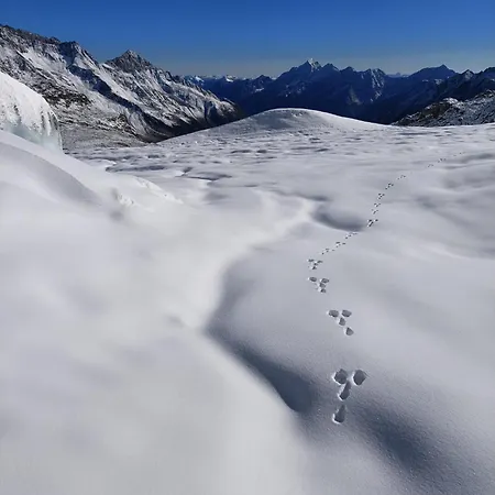 Haus Waldesruh 아파트 노이스티프트임스튀바이탈