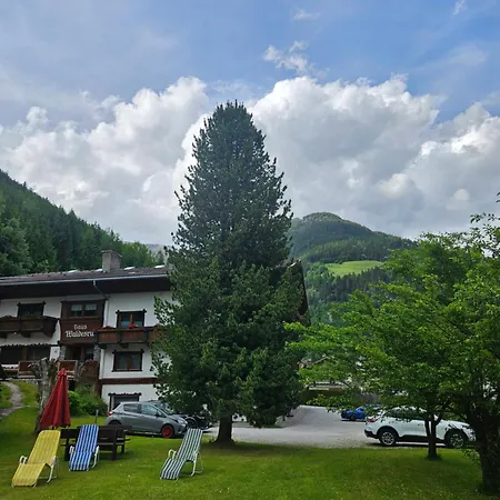 Apartamento Haus Waldesruh Neustift im Stubaital
