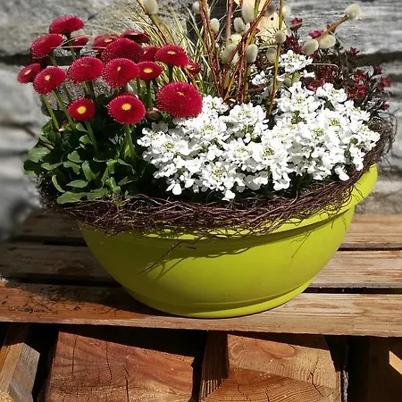 아파트 Haus Waldesruh