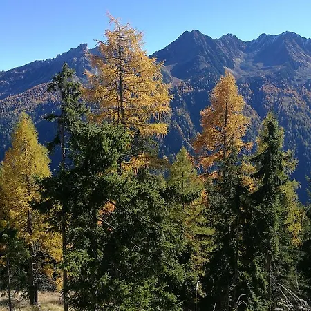 Haus Waldesruh 아파트 *