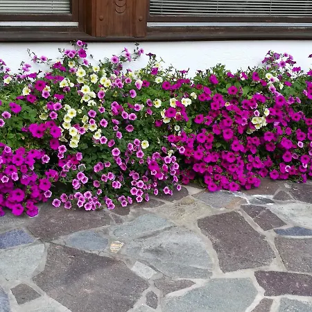 Haus Waldesruh Neustift im Stubaital