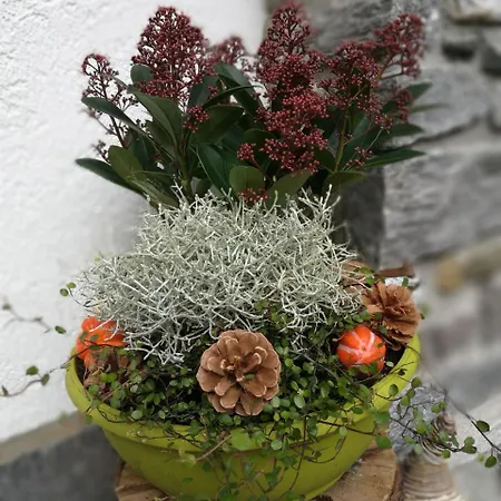 Haus Waldesruh Apartmán