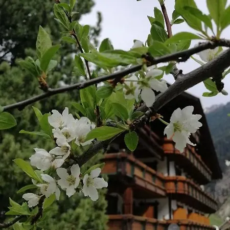 아파트 Haus Waldesruh