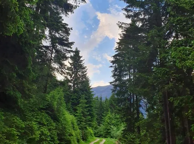 Haus Waldesruh Lägenhet