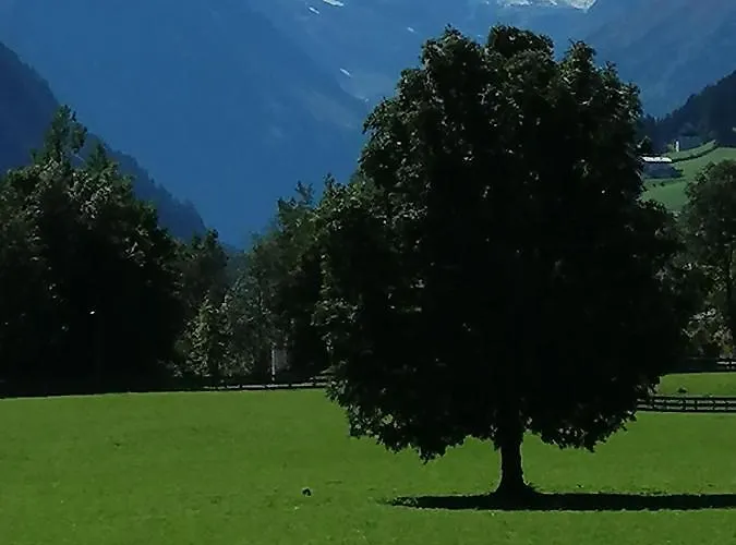 Haus Waldesruh Lägenhet *