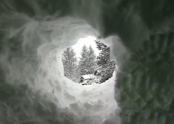 Апартаменты Haus Waldesruh