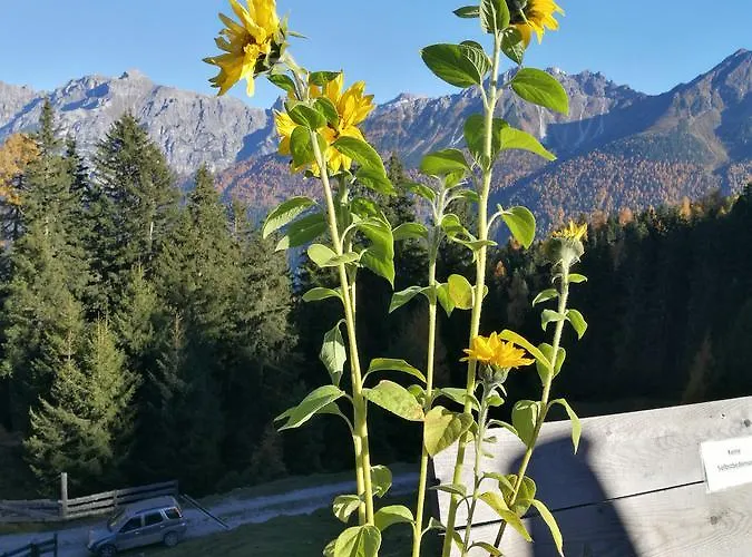 Lejlighed Haus Waldesruh Neustift im Stubaital