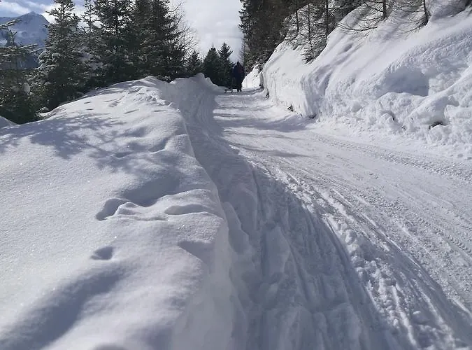 Апартаменты Haus Waldesruh Нойштифт-им-Штубайталь