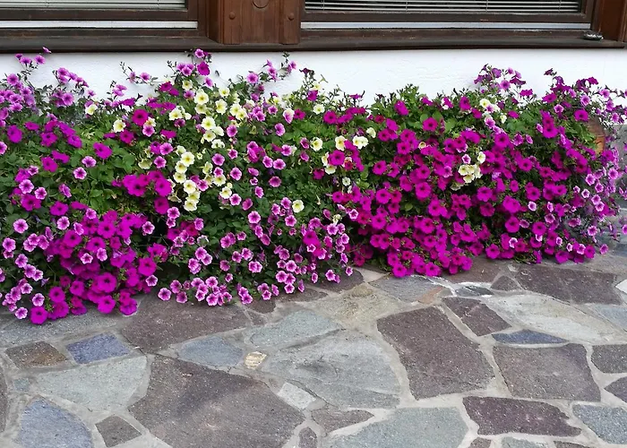 Haus Waldesruh Neustift im Stubaital