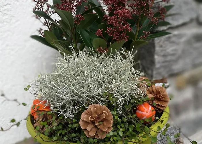 Haus Waldesruh Lägenhet