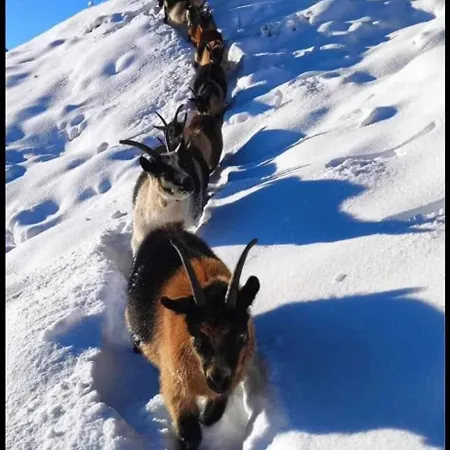 Haus Waldesruh Apartman Neustift im Stubaital