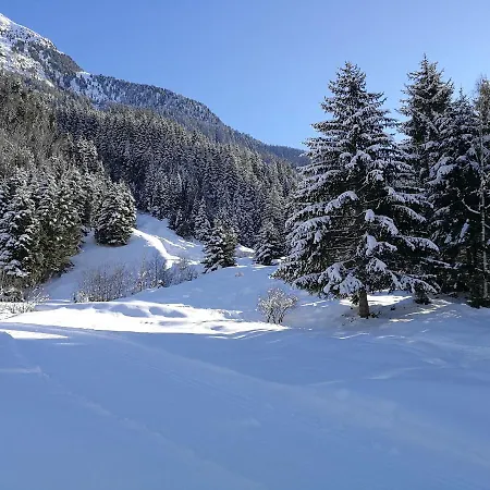 Haus Waldesruh Apartman *